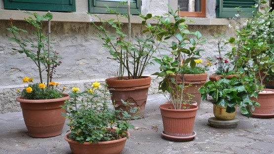 giovedì 9 luglio ’15