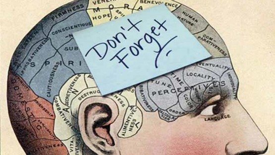 il dovere della memoria