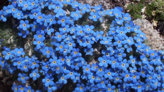 lunedì 18 aprile ’16