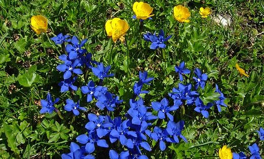 domenica 17 aprile ’16