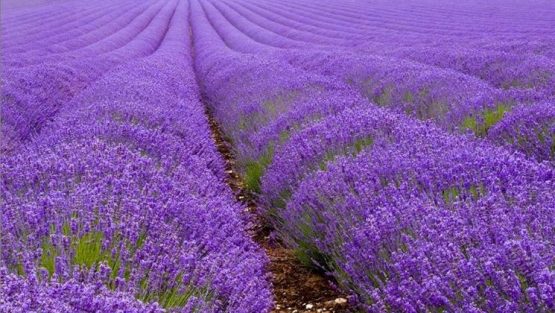 mercoledì 18 maggio ’16