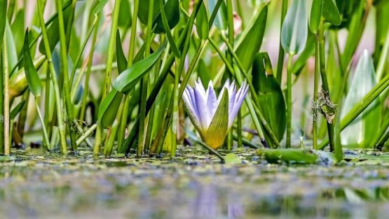 lunedì 13 giugno ’16
