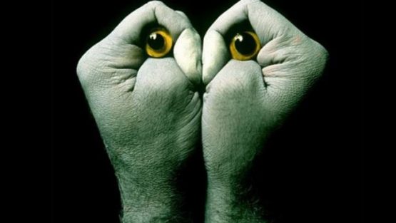 venerdì 17 giugno ’16