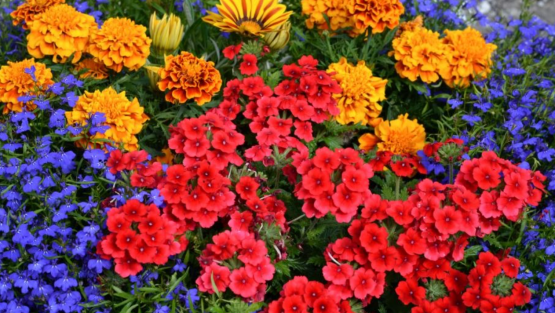 domenica 17 luglio ’16