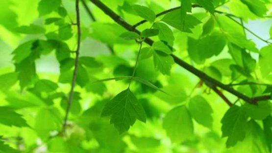 mercoledì 20 luglio ’16