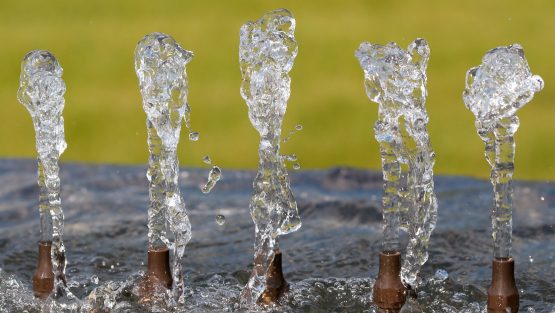 domenica 3 luglio ’16