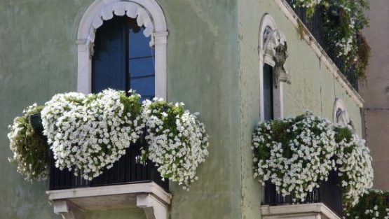 lunedì 11 luglio ’16