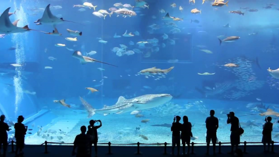 mercoledì 10 agosto ’16