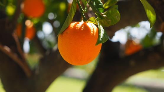 venerdì 19 agosto ’16