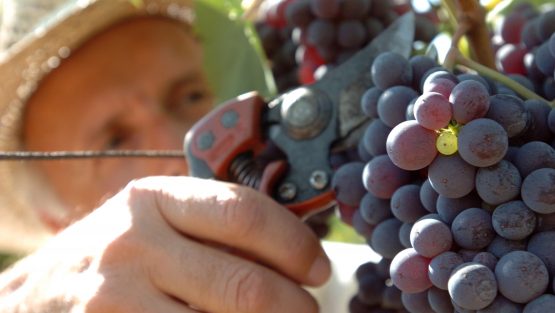 mercoledì 28 settembre ’16