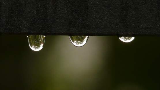 lunedì 12 settembre ’16