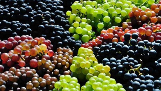 lunedì 26 settembre ’16