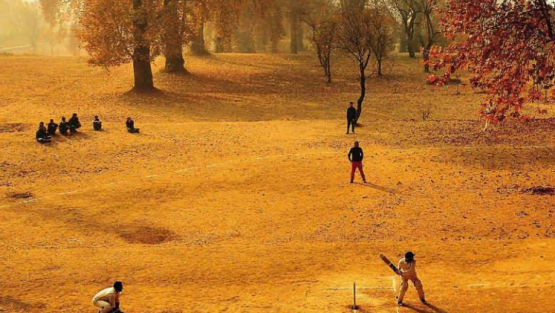 domenica 20 novembre ’16