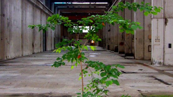 venerdì 25 novembre ’16