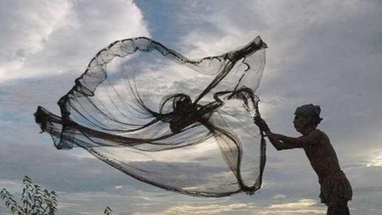 domenica 22 gennaio ’17