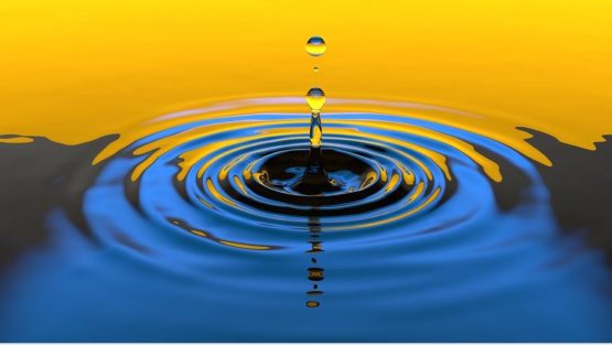 mercoledì 1 febbraio ’17