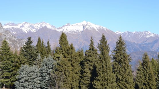 mercoledì 4 gennaio ’17