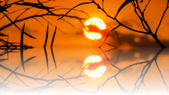 martedì 10 gennaio ’17