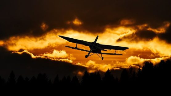 domenica 5 febbraio ’17