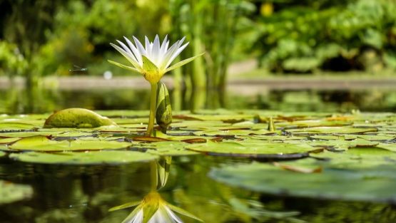 domenica 12 marzo ’17