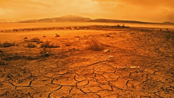 domenica 19 marzo ’17