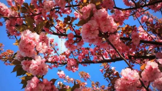 martedì 21 marzo ’17