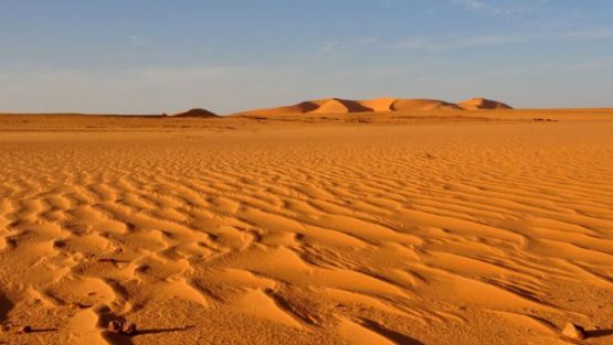 domenica 5 marzo ’17