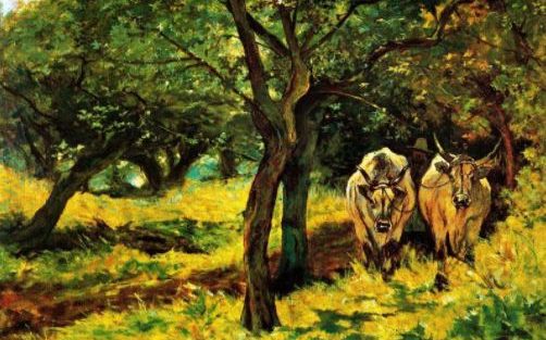 mercoledì 31 maggio ’17