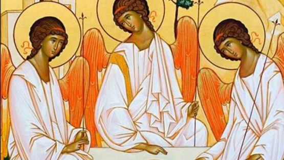 domenica 11 giugno ’17