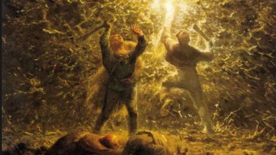 venerdì 14 luglio ’17