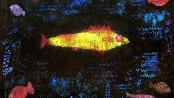 sabato 12 agosto ’17