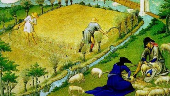 domenica 16 luglio ’17