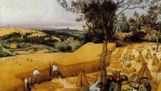 domenica 23 luglio ’17