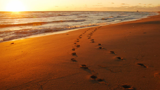 domenica 9 luglio ’17