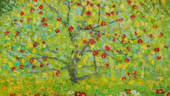 giovedì 24 agosto ’17