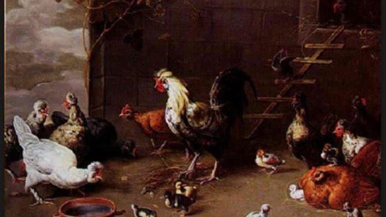 mercoledì 6 settembre ’17