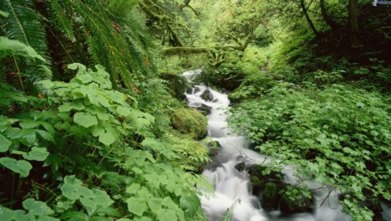 domenica 13 agosto ’17