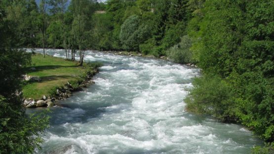 domenica 6 agosto ’17