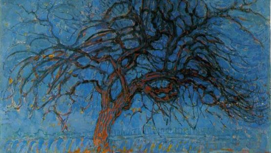 mercoledì 2 agosto ’17