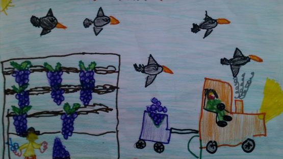 venerdì 6 ottobre ’17