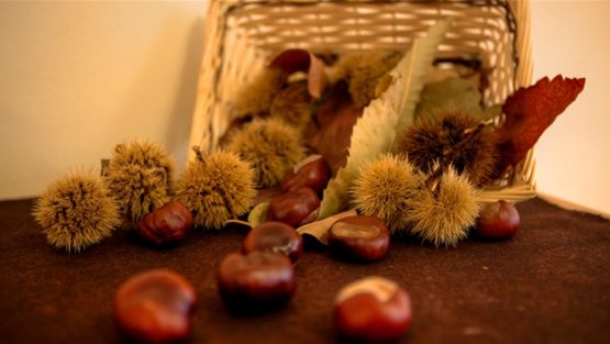 domenica 22 ottobre ’17