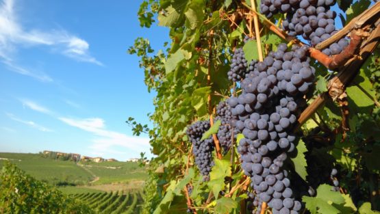 domenica 8 ottobre ’17