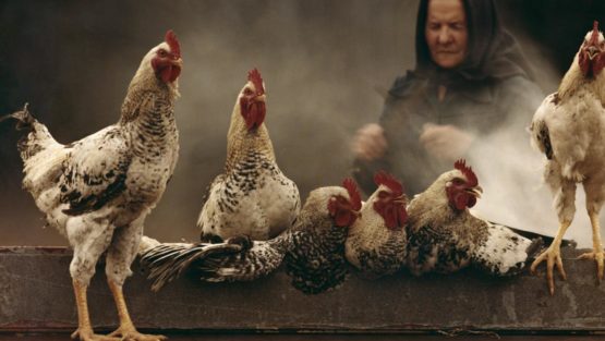 mercoledì 22 novembre ’17