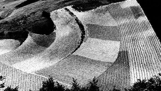 martedì 28 novembre ’17