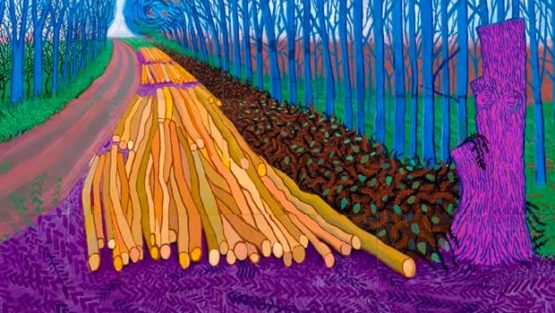 sabato 11 novembre ’17