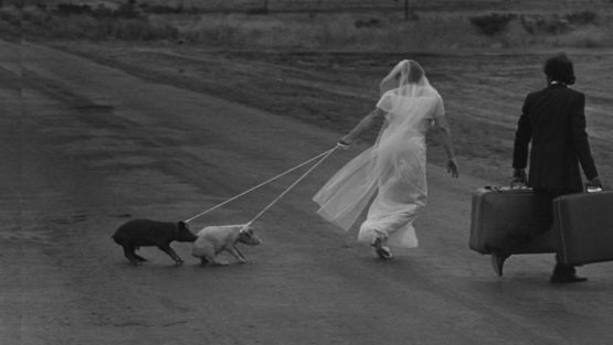 venerdì 24 novembre ’17