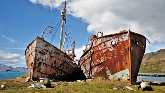 giovedì 2 novembre ’17