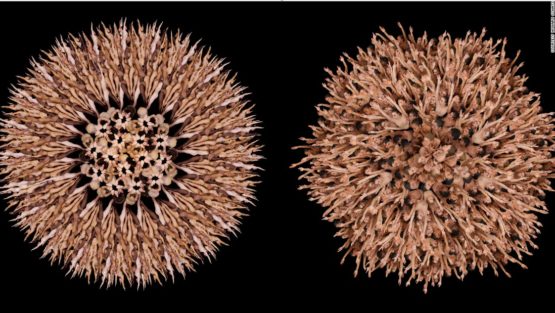 giovedì 7 dicembre ’17