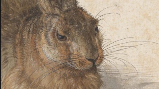 mercoledì 28 febbraio ’18