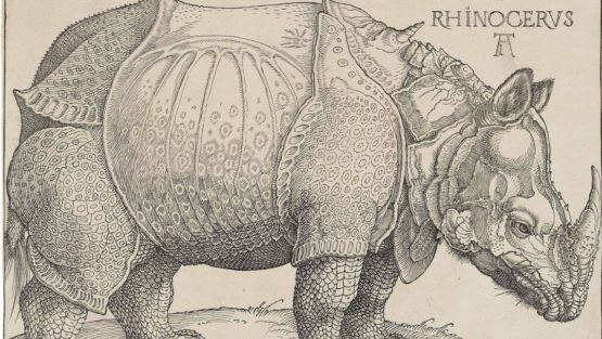 venerdì 2 marzo ’18